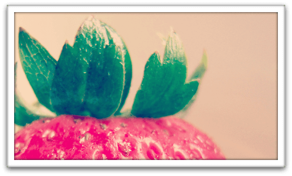 How to Go Vegan in 24 Hours