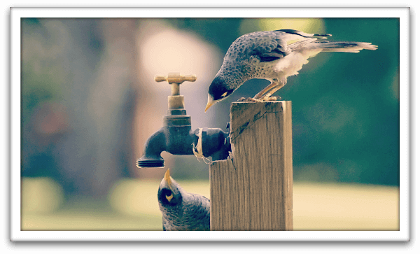 I Know You're Thirsty ::: Shocking Benefits of Extreme Hydration