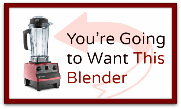 Vitamix Blender