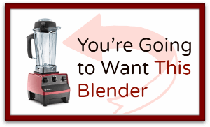 VitamixBlender300