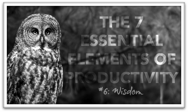 The 7 Essential Elements of Productivity, Element #6: Wisdom