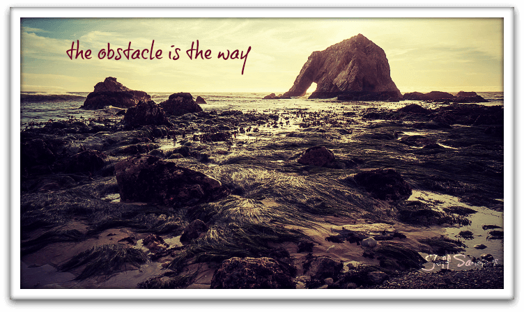 The Obstacle is the Way