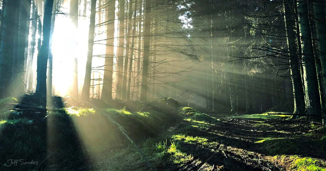 7 Steps to Defy Your Fears and Guarantee a Breakthrough