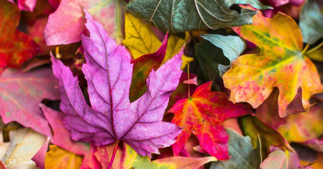 8 Superpowers for Thriving in Constant Change with April Rinne